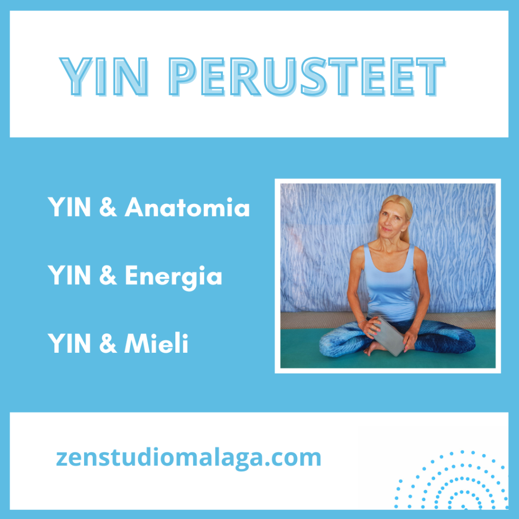 YIN perusteet